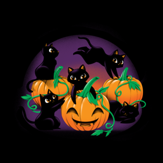 Hello Cat Halloween
