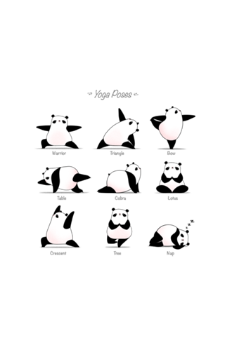 Yoga Panda II