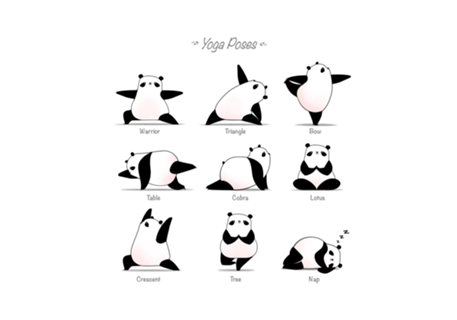 Yoga Panda II