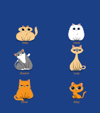 Types of Cats