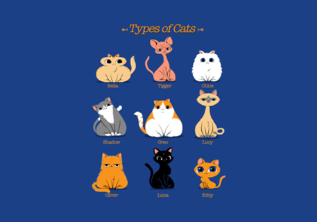 Types of Cats