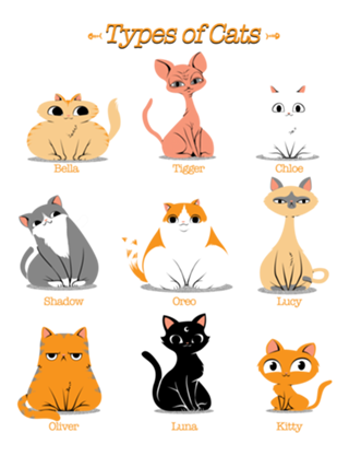 Types of Cats