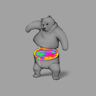 Rainbow Bear