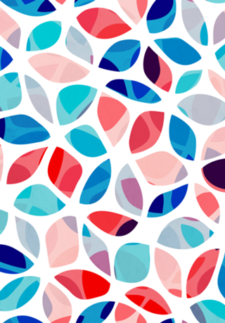 Flower Petals Colorful Pattern