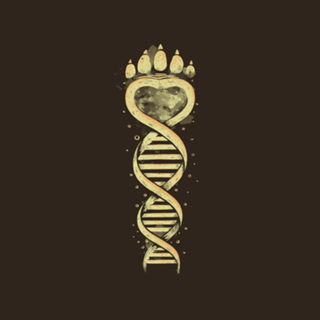 Bear DNA