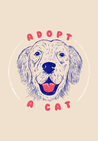 Adopt a Cat