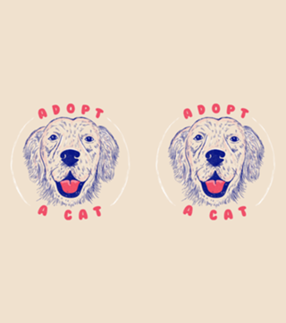 Adopt a Cat