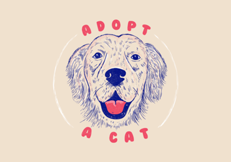 Adopt a Cat