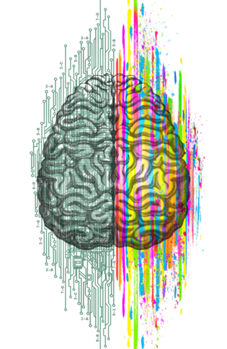 The Mind - Brain Dichotomy