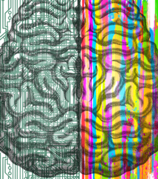 The Mind - Brain Dichotomy