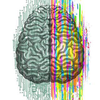 The Mind - Brain Dichotomy