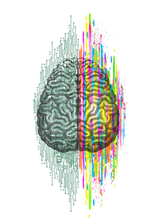 The Mind - Brain Dichotomy