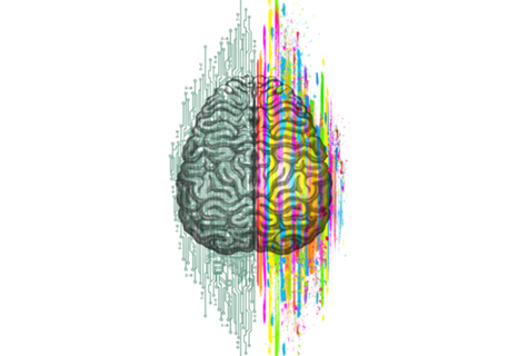 The Mind - Brain Dichotomy