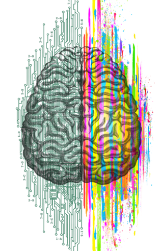 The Mind - Brain Dichotomy