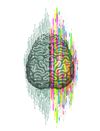 The Mind - Brain Dichotomy