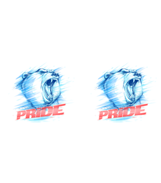Bear Pride