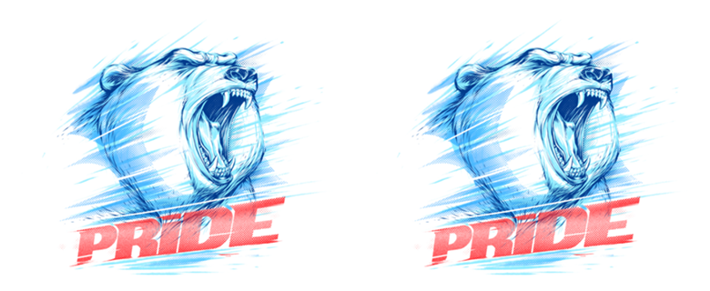 Bear Pride