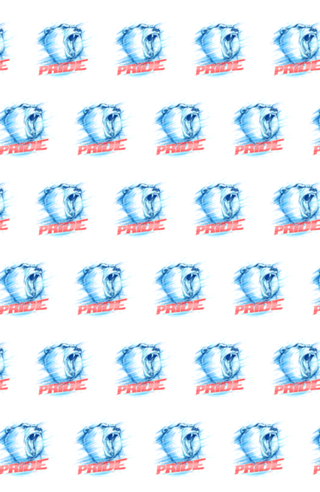 Bear Pride