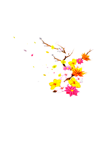 Simply Ramen