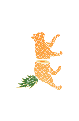 Fruit Cat: Pineapple