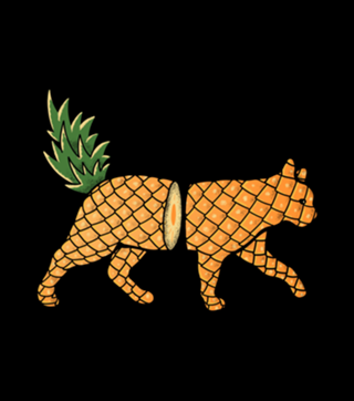 Fruit Cat: Pineapple