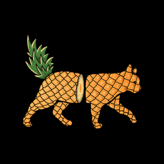 Fruit Cat: Pineapple