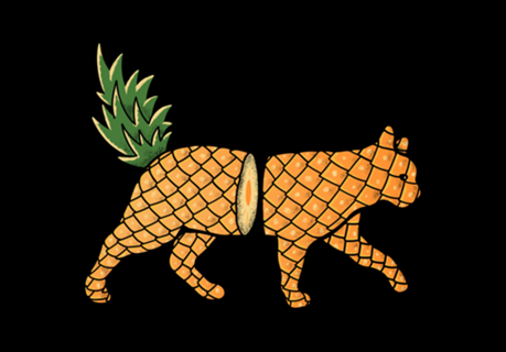 Fruit Cat: Pineapple