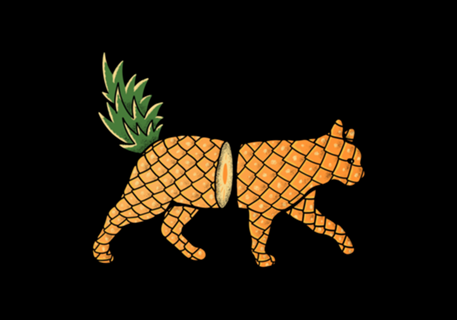 Fruit Cat: Pineapple