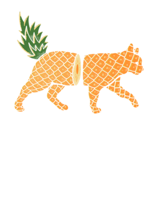 Fruit Cat: Pineapple