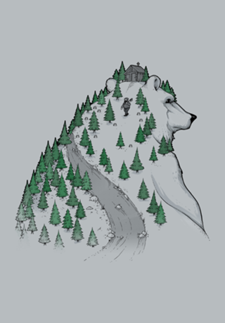 Wild Bear