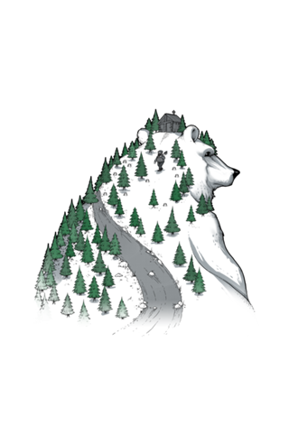 Wild Bear