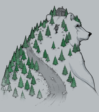 Wild Bear