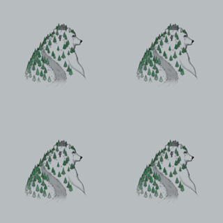 Wild Bear