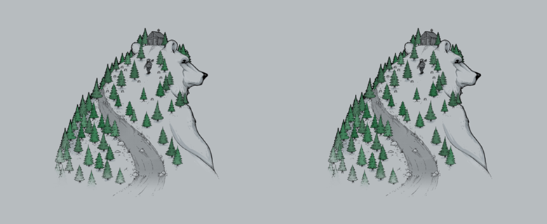 Wild Bear