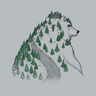 Wild Bear