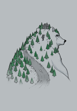 Wild Bear