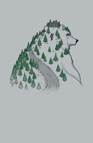 Wild Bear