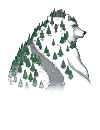 Wild Bear