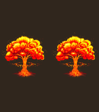 Nuclear Nature