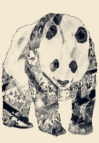 Panda Tatuado