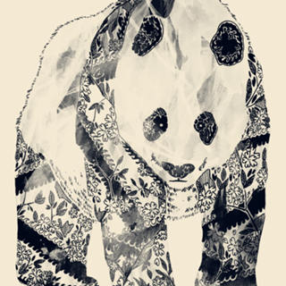 Panda Tatuado