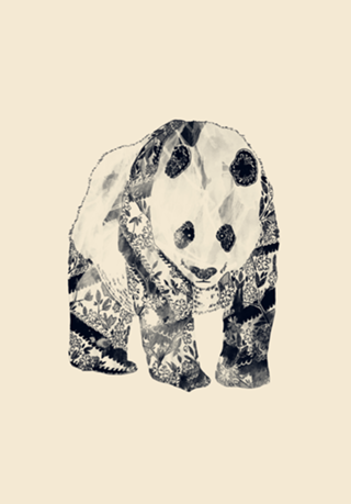Panda Tatuado
