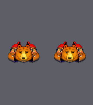 Bear Inside