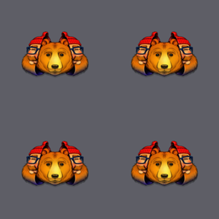 Bear Inside
