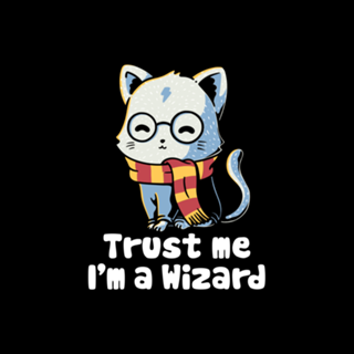 Trust me I'm a wizard