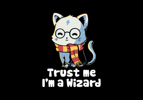Trust me I'm a wizard