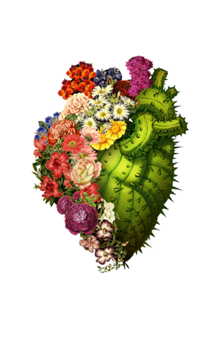 Healing Heart