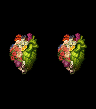 Healing Heart