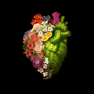 Healing Heart