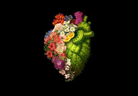 Healing Heart